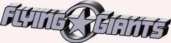 3 Dimensional Flying Giants decal - silver rc digital decal